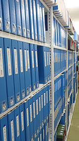 �}���يT�v�ʐ^