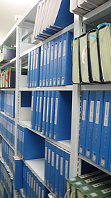 �}���يT�v�ʐ^