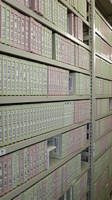 �}���يT�v�ʐ^